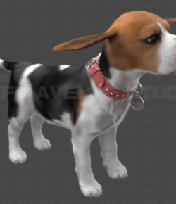 Beagle Pup Look Dev